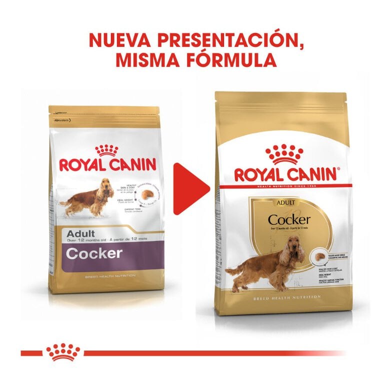 12 kg Royal Canin Adult Cocker ração para cães,  Imagem número 3 12 kg Royal Canin Adult Cocker ração para cães, , large Imagem número 3