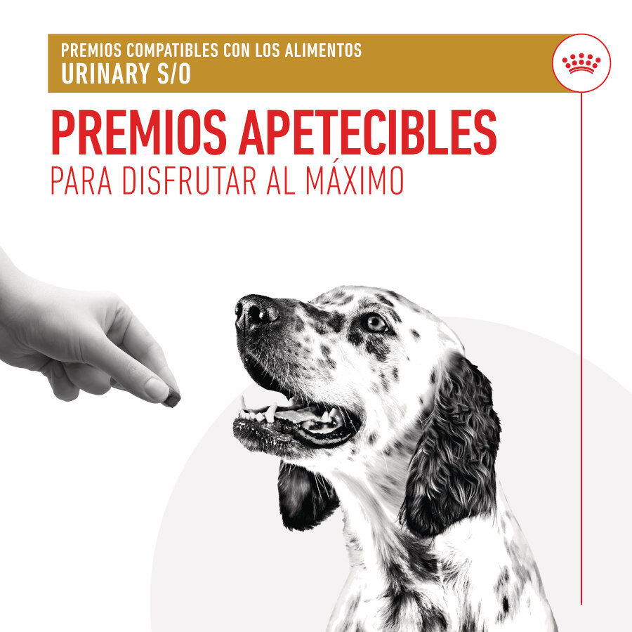 230 g Royal Canin Treats Urinary Snacks para c&atilde;es, , large Imagem n&uacute;mero 6