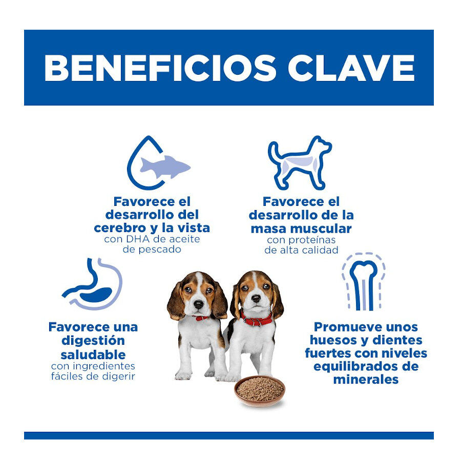 370 g Hill's Science Plan Puppy Beef P&acirc;t&eacute; enlatado para c&atilde;es, , large Imagem n&uacute;mero 4
