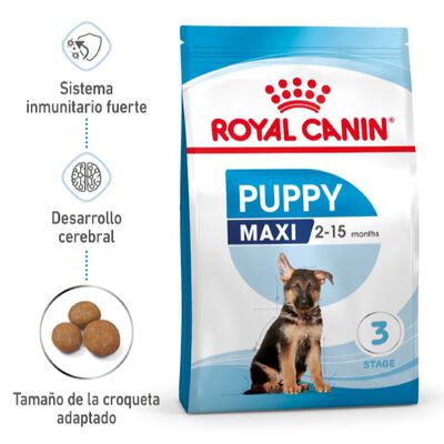 Royal Canin Puppy Maxi ração para cães