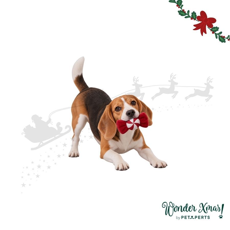 Wonder Christmas Rebu&ccedil;ado Brinquedo para c&atilde;es, , large Imagem n&uacute;mero 1