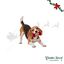 Wonder Christmas Rebu&ccedil;ado Brinquedo para c&atilde;es, , large Indicador imagem n&uacute;mero 1
