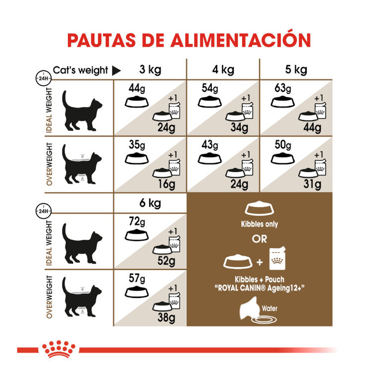 Royal Canin Ageing +12 ração para gatos, , large image number null