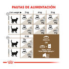 Royal Canin Ageing +12 ração para gatos, , large image number null