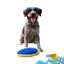 Summer Vibes Plush Ring Brinquedo para c&atilde;es, , large Indicador imagem n&uacute;mero 7