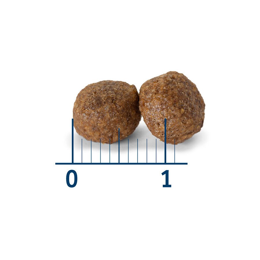 12 kg Nath Puppy Medium Maxi Frango ra&ccedil;&atilde;o para c&atilde;es, , large Imagem n&uacute;mero 3