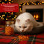 50 g Wonder Christmas Snack de Natal para gatos, , large Indicador imagem número 4