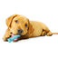 Nylabone Osso Mordedor Dentário com Sabor a Frango para cachorros, , large Indicador imagem número 2