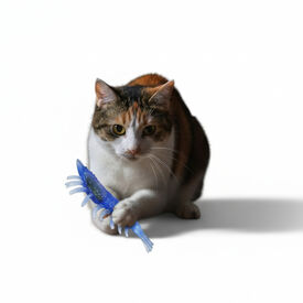 PLAYOLOGY BRINQUEDO PACK 2 LAGOSTINS PARA GATOS