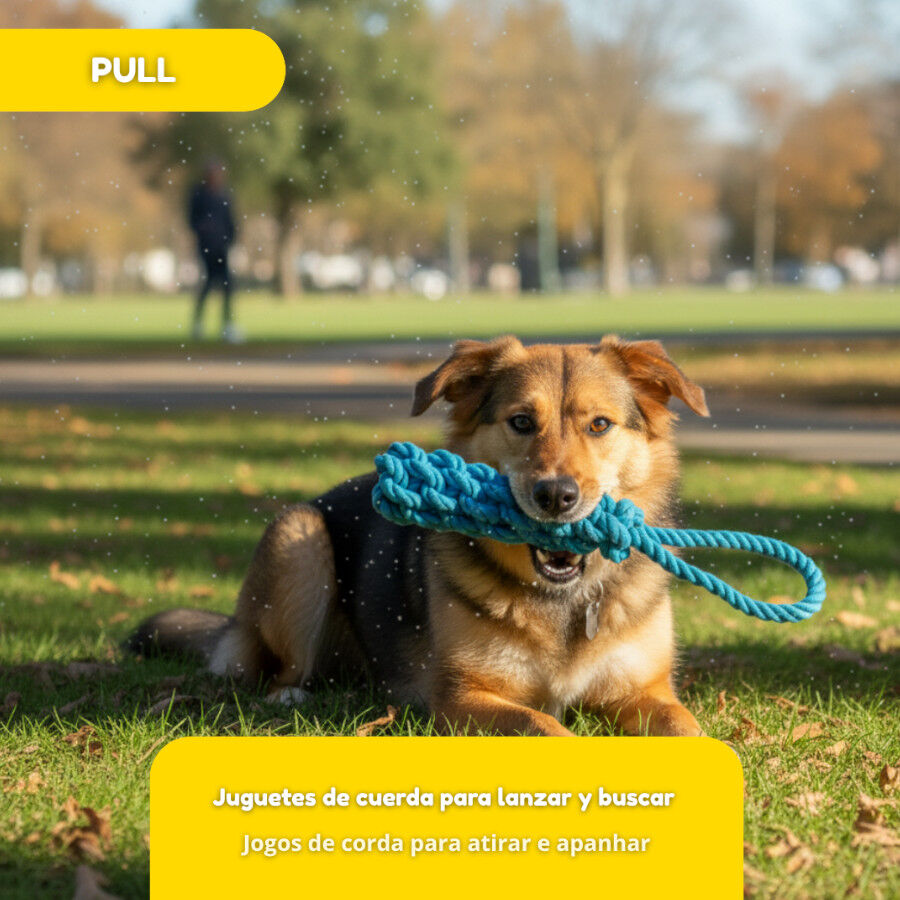Tootoy! Pull Mordedor de corda para c&atilde;es, , large Imagem n&uacute;mero 5