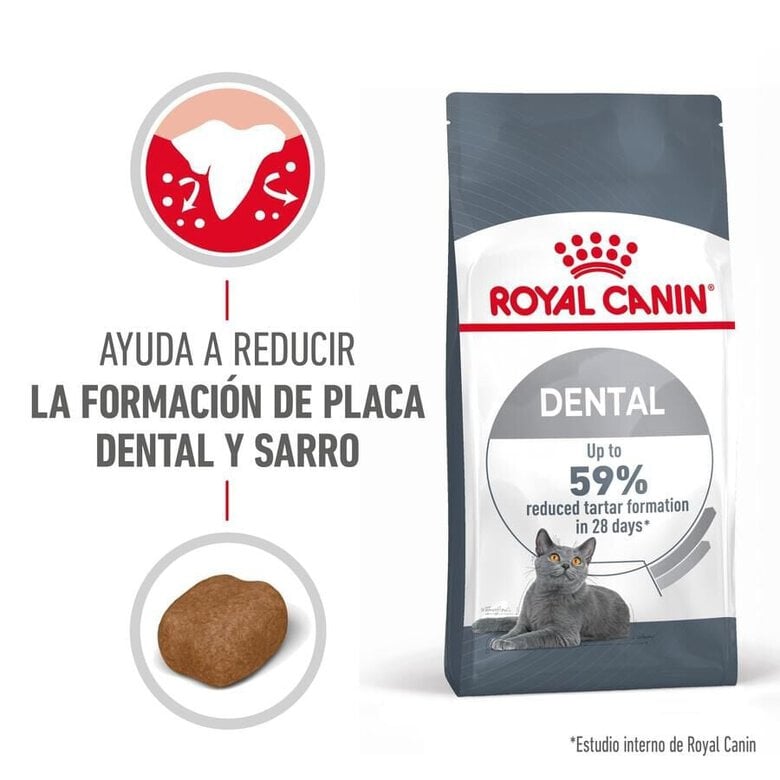8 kg Royal Canin Adult Oral ração para gatos,  Imagem número 2 8 kg Royal Canin Adult Oral ração para gatos, , large Imagem número 2