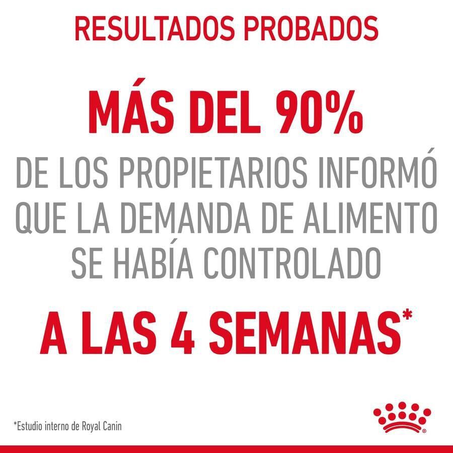 85 g Royal Canin Appetite Control Care molho saqueta para gatos, , large Imagem n&uacute;mero 9