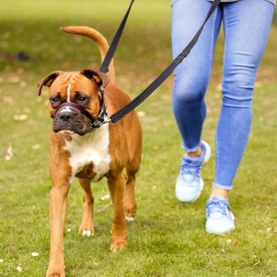 Halti Coleira Optfit anti-pux&atilde;o preta para c&atilde;es, , large Imagem n&uacute;mero 4
