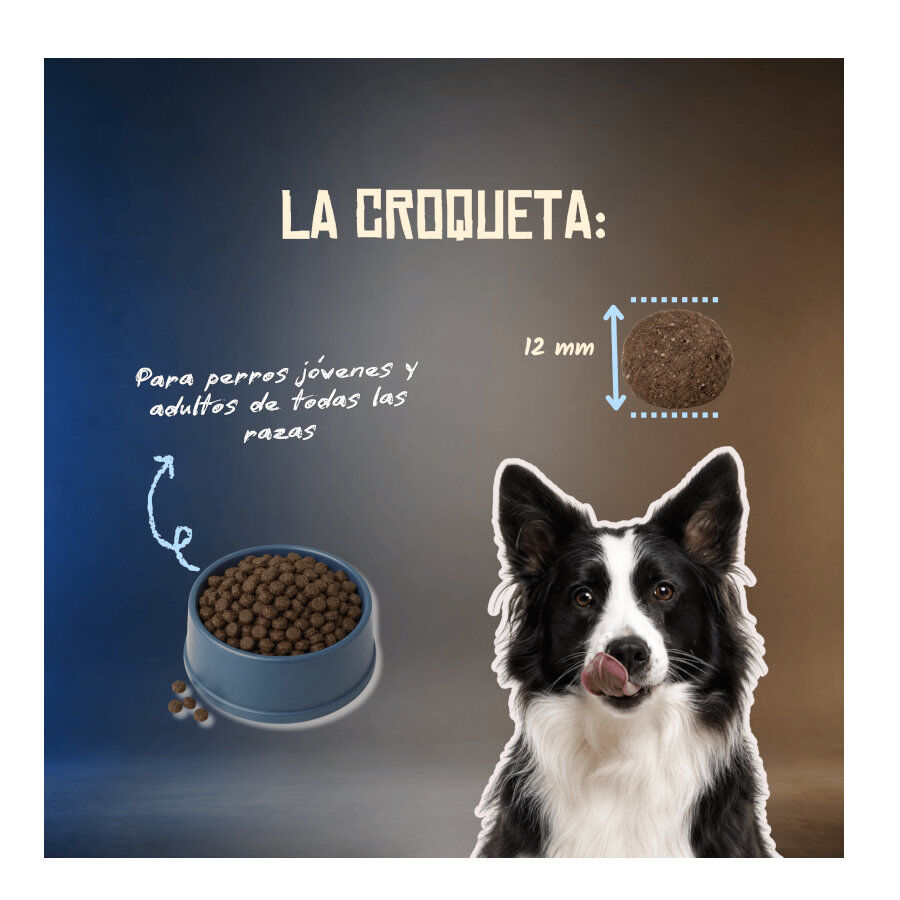 2 Kg Lenda Grain Free Ra&ccedil;&atilde;o de Peixe e Krill para c&atilde;es, , large Imagem n&uacute;mero 6