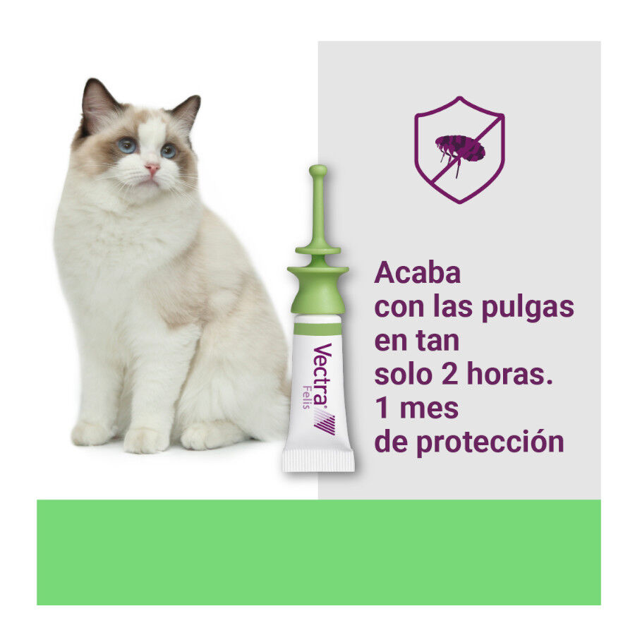 Vectra Felis Pipetas Antiparasit&aacute;rias para gatos - Pack 3, , large Imagem n&uacute;mero 10