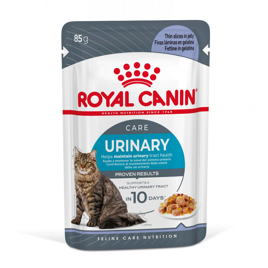 85 g Royal Canin Urinary Care Saquetas em Gelatina para Gatos, , large Imagem n&uacute;mero 1