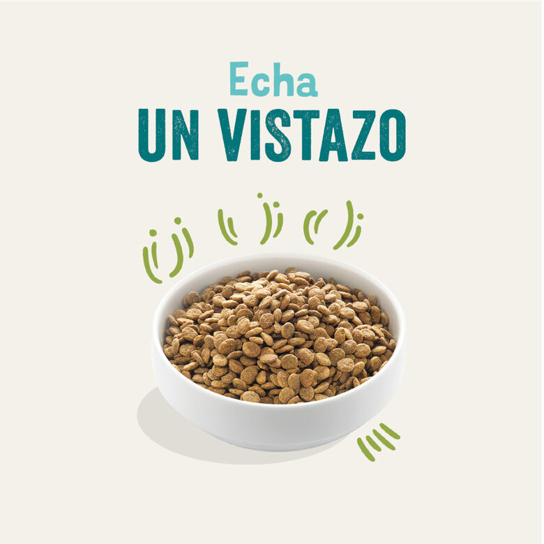 12 kg Edgard & Cooper Adult Borrego ração para cães,  Imagem número 2 12 kg Edgard & Cooper Adult Borrego ração para cães, , large Imagem número 2
