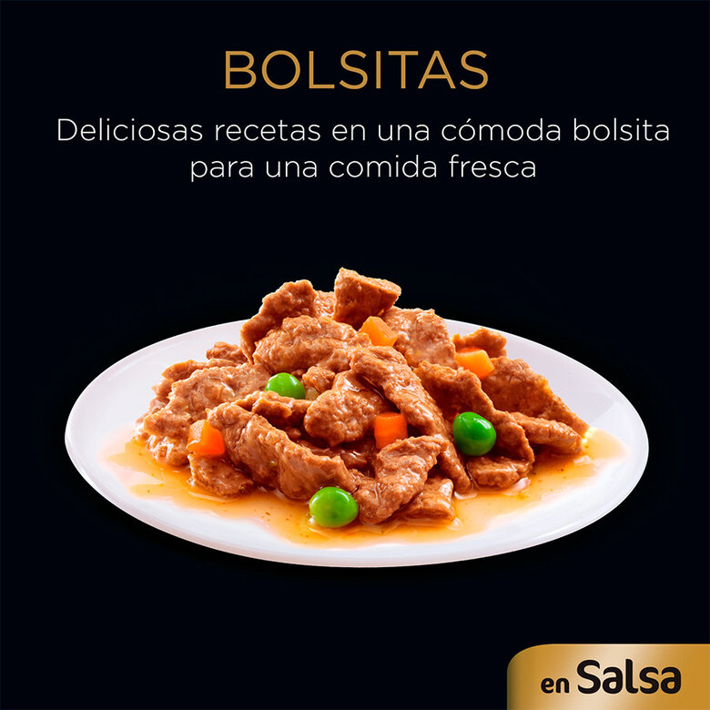 4 saquetas x 100 g Cesar Mix de Carnes em Molho Saquetas para cães - Multipack,  Imagem número 2 4 saquetas x 100 g Cesar Mix de Carnes em Molho Saquetas para cães - Multipack, , large Imagem número 2