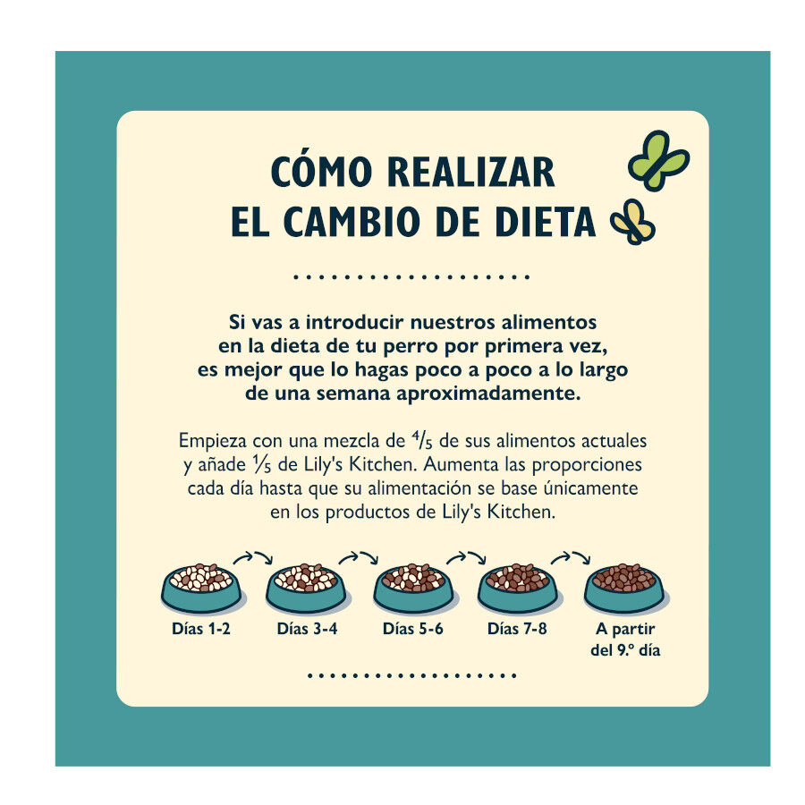 2.5 kg Lily's Kitchen Adult Supper Salm&atilde;o ra&ccedil;&atilde;o para c&atilde;es , , large Imagem n&uacute;mero 3