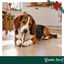 4 uns. Wonder Christmas Palitos com Peixe snacks para c&atilde;es, , large Indicador imagem n&uacute;mero 2