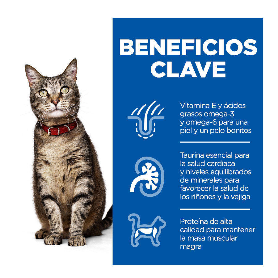 24 saquetas x 85 g Hill's Science Plan Adult Frango, Peixe Azul e Carne em Molho para Gatos Pack poupan&ccedil;a!, , large Imagem n&uacute;mero 3