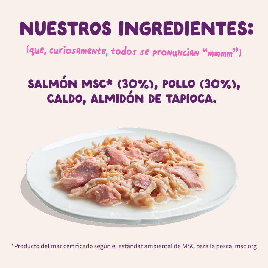 70 g Edgard & Cooper Filetes de Salm&oacute;n y Pollo Lata para gatos, , large Imagem n&uacute;mero 6