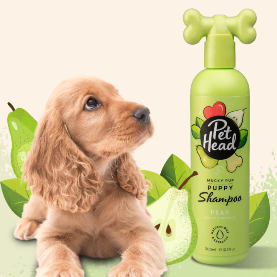 Pet Head Shampoo p&ecirc;ra para c&atilde;es 300ml, , large Imagem n&uacute;mero 3