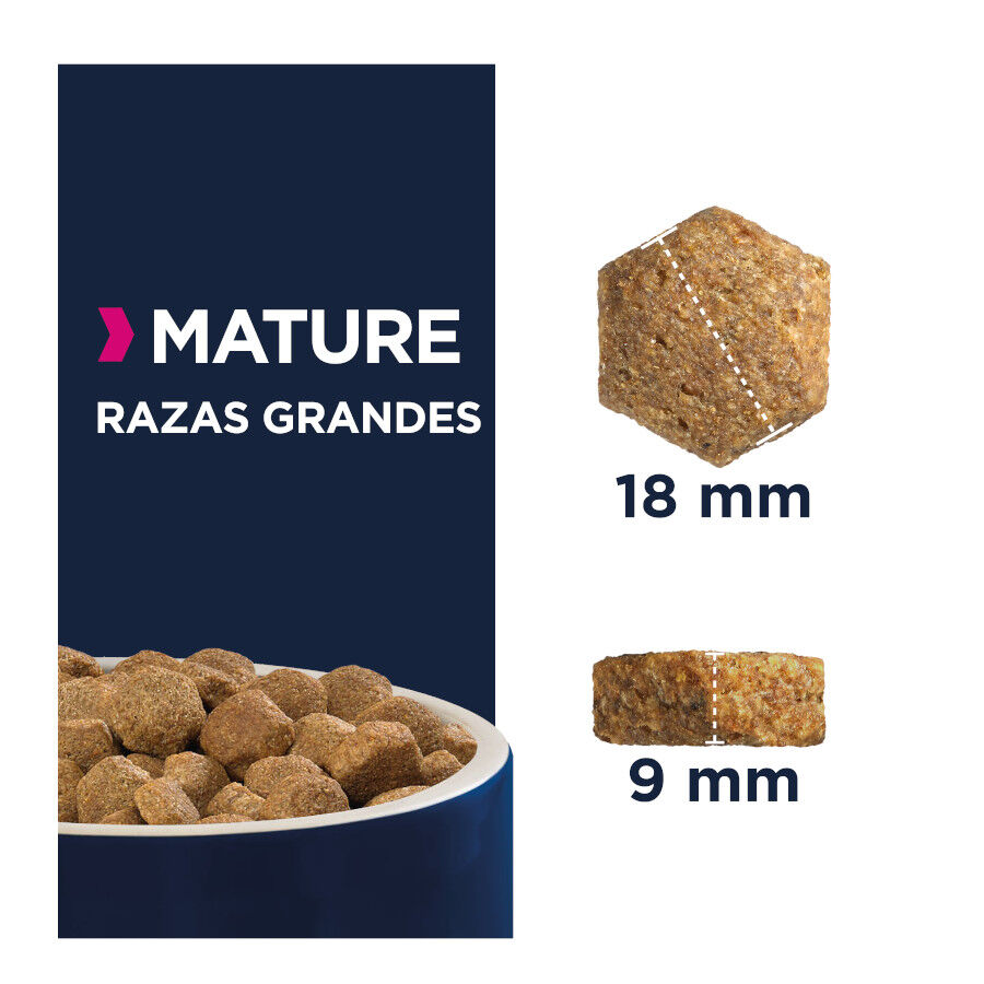 12 kg Eukanuba Mature Y Senior ra&ccedil;&atilde;o para c&atilde;es ra&ccedil;as grandes, , large Imagem n&uacute;mero 2
