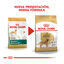 12 kg Royal Canin Adult Golden Retriever ração para cães, , large Indicador imagem número 3