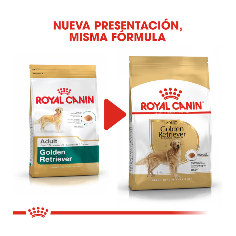 Royal Canin Adult Golden Retriever ração para cães, , large image number null