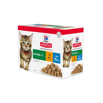 Hill's Kittenn Science Plan Frango e Peixe saqueta para gatos - Multipack  12