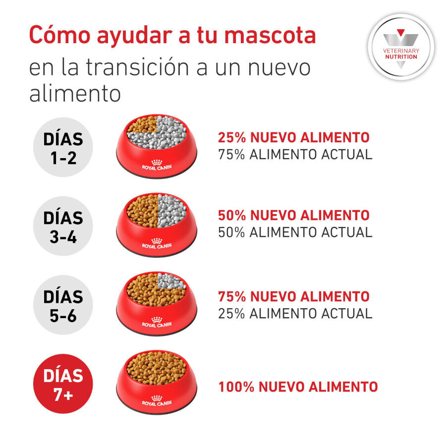 7 kg Royal Canin Veterinary Diabetic ra&ccedil;&atilde;o para c&atilde;es , , large Imagem n&uacute;mero 8