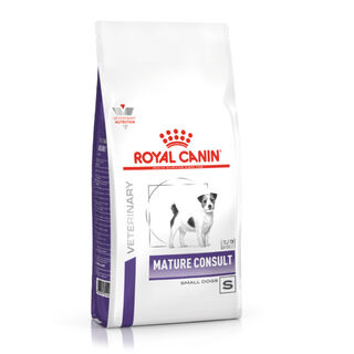 Royal Canin Mature Small Veterinary ração para cães