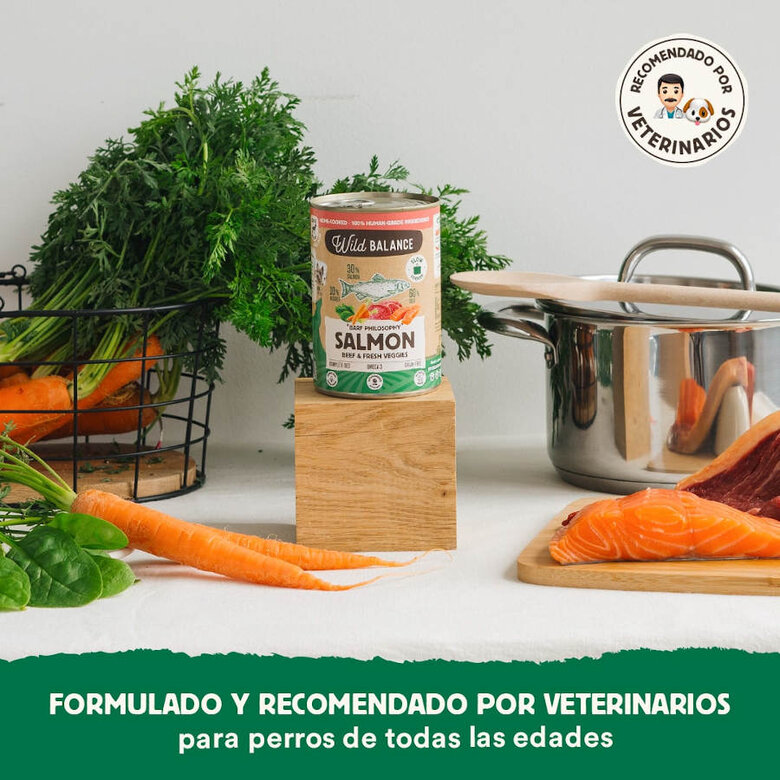 400 g Wild Balance BARF de Salmão e Vitela em lata para cães ,  Imagem número 4 400 g Wild Balance BARF de Salmão e Vitela em lata para cães , , large Imagem número 4