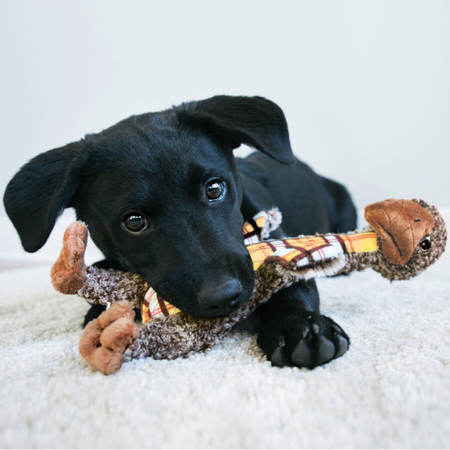 Kong Shakers Luv&rsquo;s Girafa de Peluche para c&atilde;es, , large Imagem n&uacute;mero 2