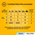 Pedigree Junior Vital Protection Geleia saqueta para cães - Pack 4, , large image number null
