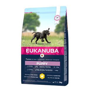 Eukanuba Puppy Large Breed Frango raçao para cães