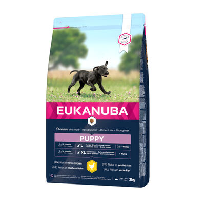 Eukanuba Puppy Large Breed raçao seca para cães