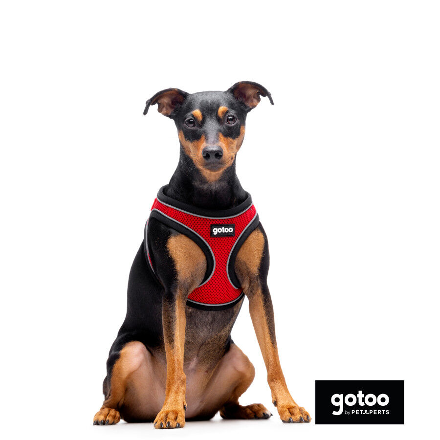 Gotoo Peitoral mesh vermelho refletor para c&atilde;es, , large Imagem n&uacute;mero 3