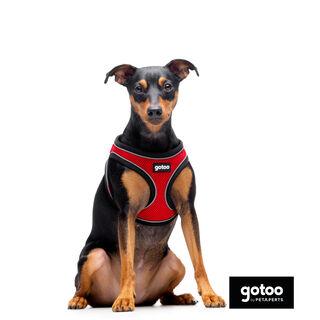 Gotoo Peitoral mesh vermelho refletor para cães