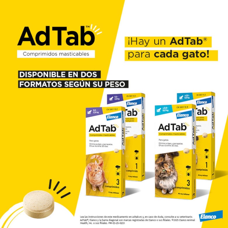 AdTab Comprimidos mastigáveis antiparasitários para gatos,  Imagem número 4 AdTab Comprimidos mastigáveis antiparasitários para gatos, , large Imagem número 4