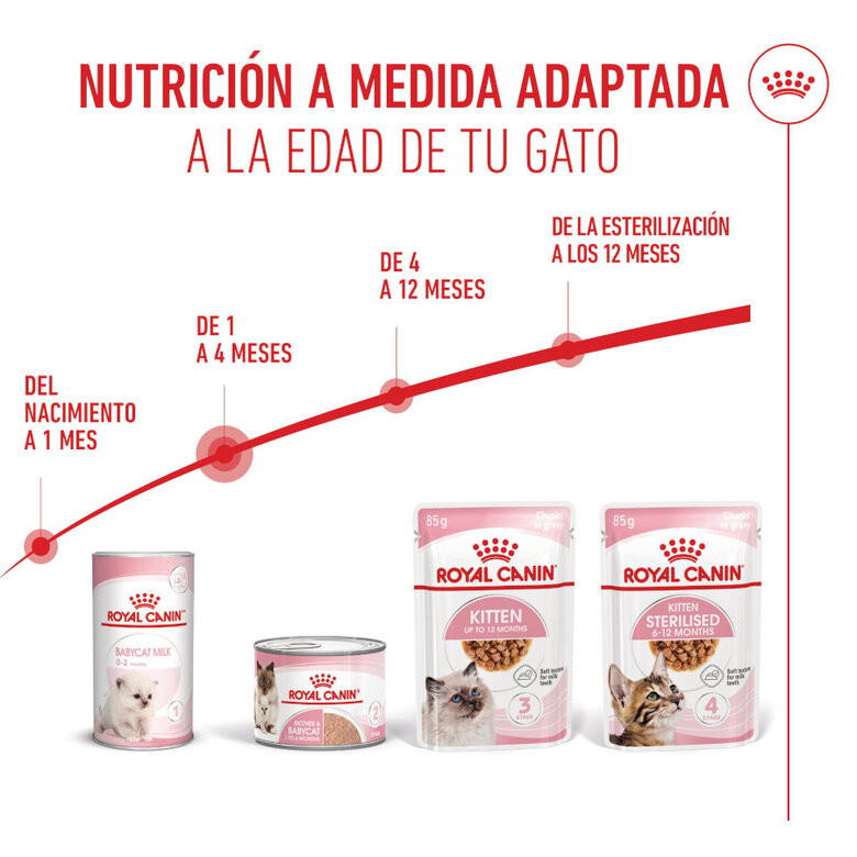 195 g Royal Canin Mother Baby mousse latas para gatos,  Imagem número 6 195 g Royal Canin Mother Baby mousse latas para gatos, , large Imagem número 6