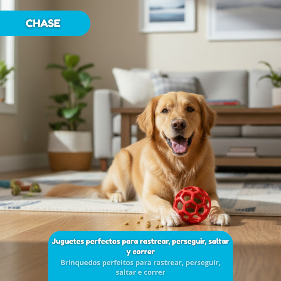 Tootoy! Chase Bola Hexahole m&eacute;dia para c&atilde;es, , large Imagem n&uacute;mero 5