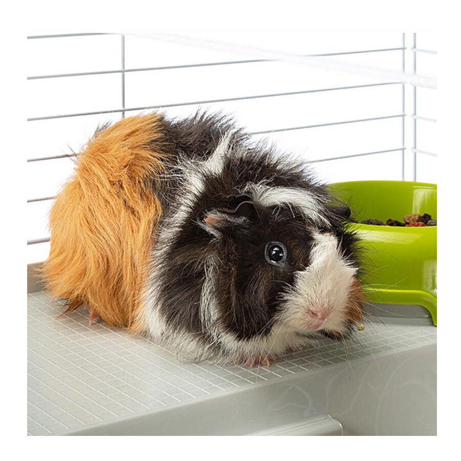 Ferplast Casita para coelhos e cobaias, , large Imagem n&uacute;mero 3