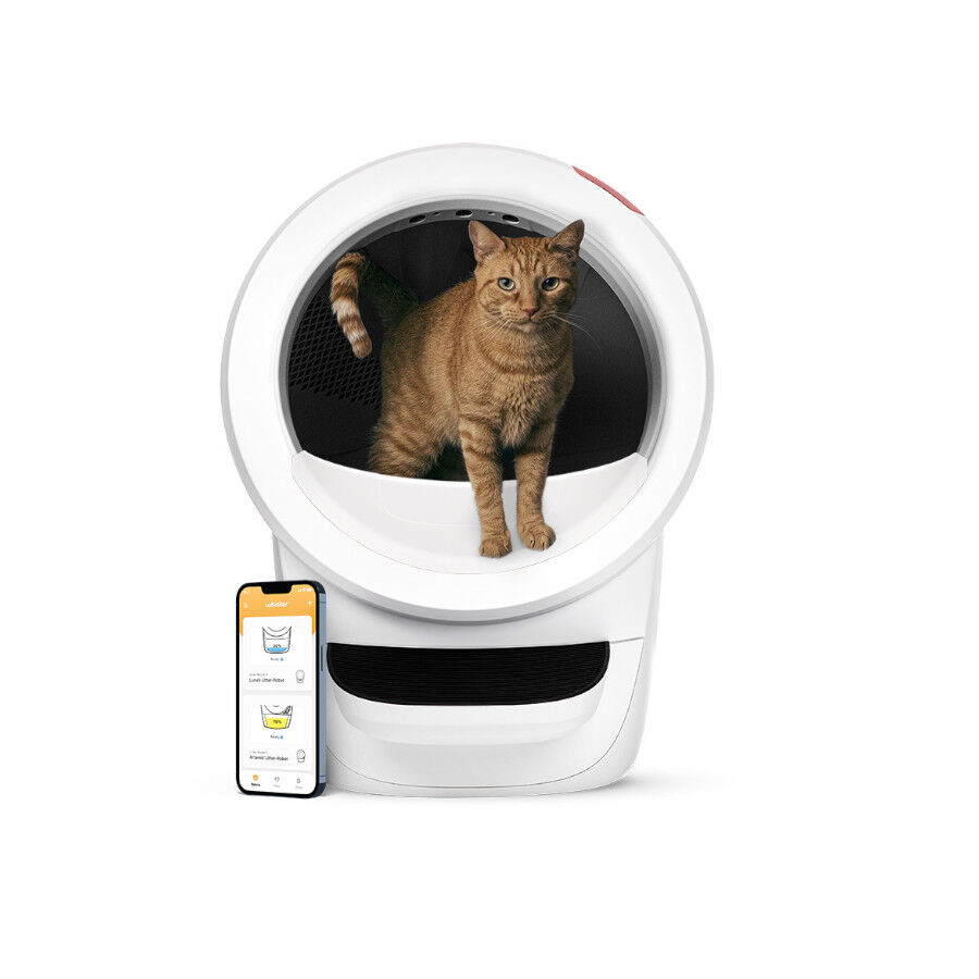 Litter-Robot Caixa de Areia Autom&aacute;tica Branca para gatos, , large Imagem n&uacute;mero 1