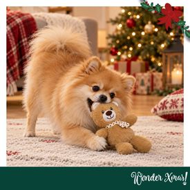 Wonder Christmas Urso Rebu&ccedil;ado Peluche para c&atilde;es