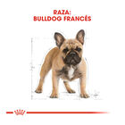 Royal Canin Adult French Bulldog ração para cães, , large image number null
