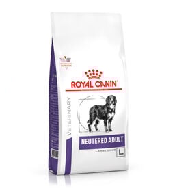Royal Canin Adult Large Veterinary Neutered ração para cães