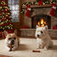 2 Ossos Wonder Christmas Osso prensado de Natal para cães, , large Indicador imagem número 2