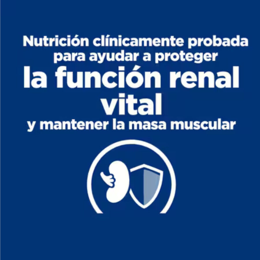 354 g Hill's Prescription Diet Kidney k/d + Mobility j/d guisado de frango e legumes lata para c&atilde;es, , large Imagem n&uacute;mero 5